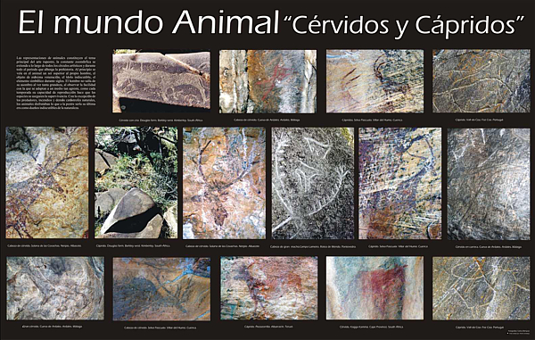 El mundo animal "Crvidos y Cpridos".