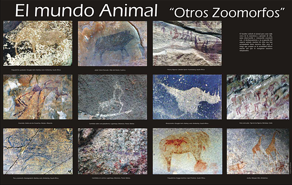 El mundo animal "Otros Zoomorfos".