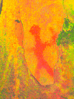 Imagen tratada por ordenador.