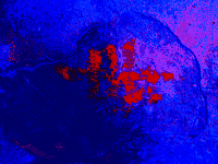 Imagen tratada por ordenador.