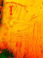 Imagen tratada por ordenador.