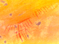 Imagen tratada por ordenador.