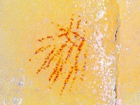 Imagen tratada por ordenador.