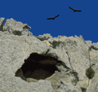 Entrada de la Cueva del Moro.