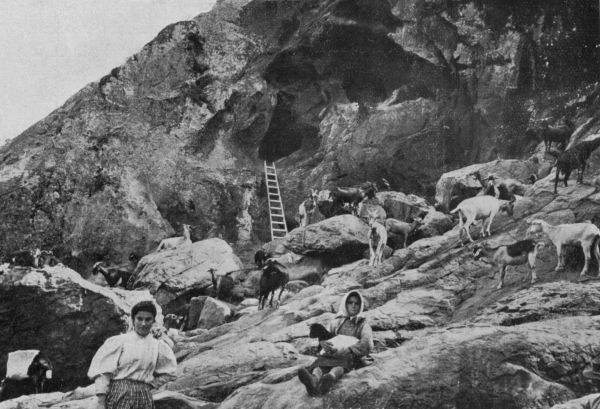 Cueva del Tajo de las Figuras (Benalup - Casas Viejas).