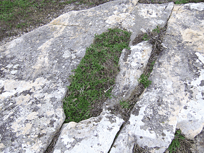 Tumba antropomorfa.