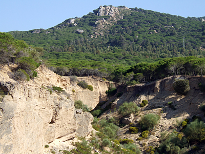 Parque Natural del Estrecho, Tarifa (Cdiz)