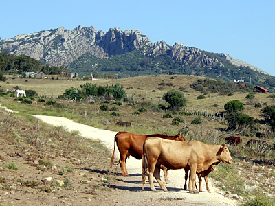 Parque Natural del Estrecho, Tarifa (Cdiz)
