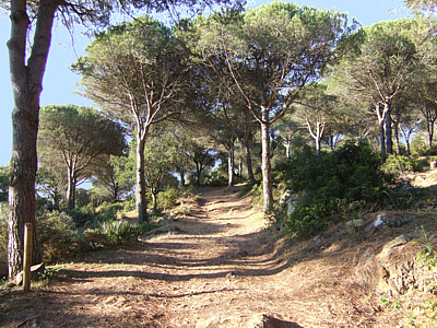 Parque Natural del Estrecho, Tarifa (Cdiz)