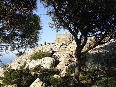 Parque Natural del Estrecho, Tarifa (Cdiz)